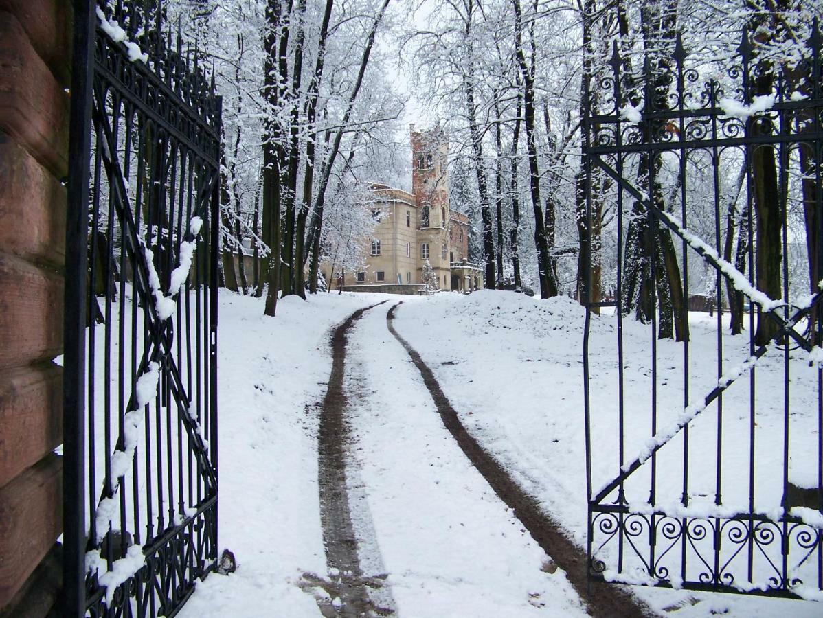 Palac Dabrowica Dabrowica  Екстериор снимка