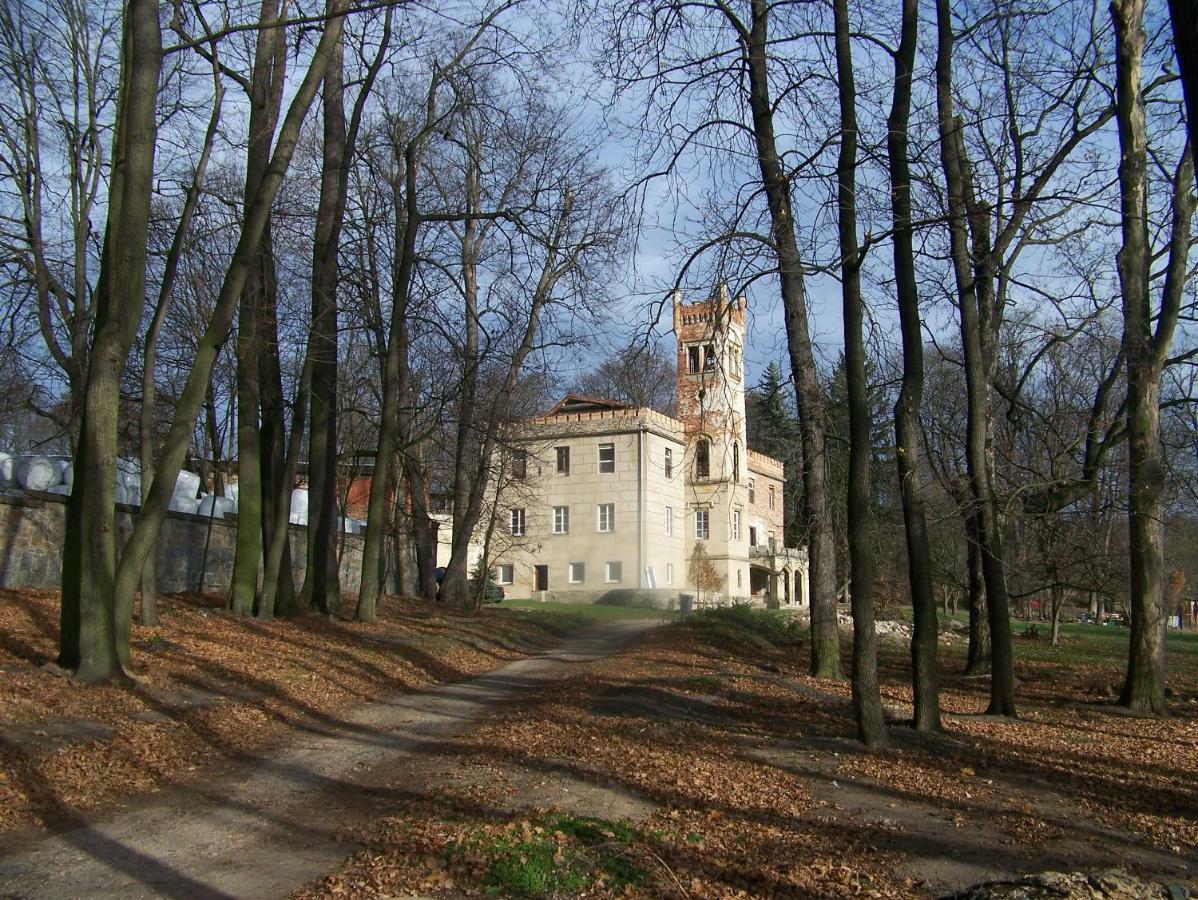 Palac Dabrowica Dabrowica  Екстериор снимка